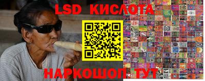 шишки Будённовск