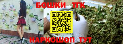 шишки Будённовск