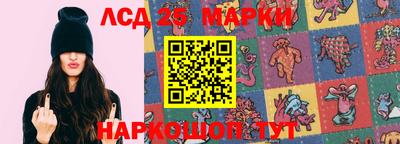 шишки Будённовск
