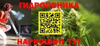 шишки Бузулук