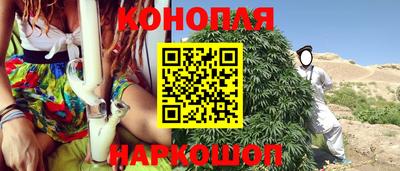 шишки Будённовск