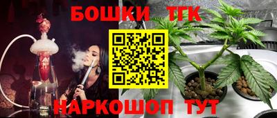 шишки Будённовск