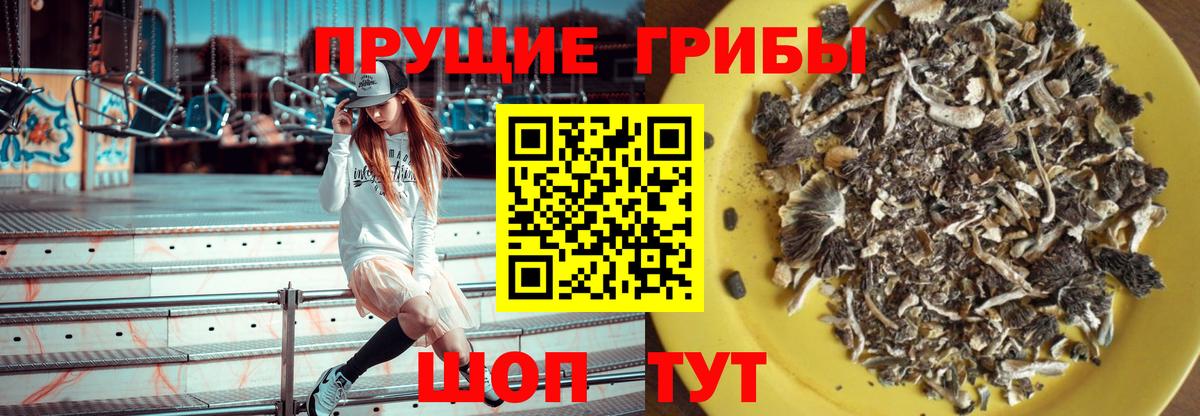 Сургут  Галлюциногенные грибы мухоморы  Вход с VPN 